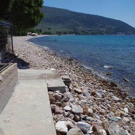 Vasiliki΄s House *